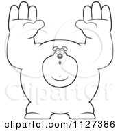 Cartoon Of An Outlined Buff Bear Holding His Hands Up Royalty Free Vector Clipart