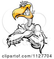 Cartoon Of An Angry Pelican Mascot With Folded Arms Royalty Free Vector Clipart by Chromaco #COLLC1127704-0173