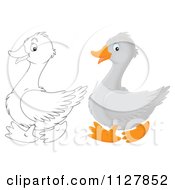 Poster, Art Print Of Outlined And Colored Cute Geese In Profile