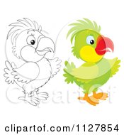Cartoon Of Outlined And Colored Cute Parrots Pointing Royalty Free Clipart
