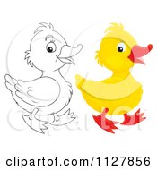 Cartoon Of Outlined And Colored Cute Ducklings In Profile Royalty Free Clipart