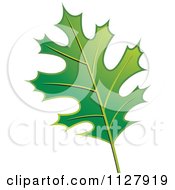 Clipart Of A Green Oak Leaf Royalty Free Vector Illustration