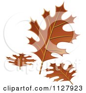 Clipart Of Autumn Oak Leaves Royalty Free Vector Illustration by Lal Perera