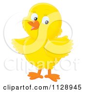 Poster, Art Print Of Cute Yellow Chick Looking To The Side