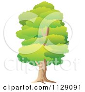 Cartoon Of A Lush Tall Green Tree Royalty Free Vector Clipart