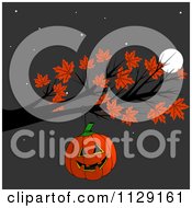 Halloween Jackolantern Pumpkin Hanging From An Autumn Maple Tree Branch At Night