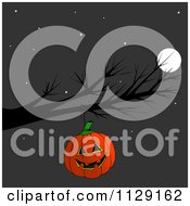 Halloween Jackolantern Pumpkin Hanging From A Bare Tree Branch At Night