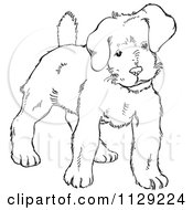 Poster, Art Print Of Outlined Alert Puppy Dog