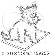 Poster, Art Print Of Outlined Scottie Dog On A Rug