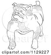 Poster, Art Print Of Outlined Bulldog