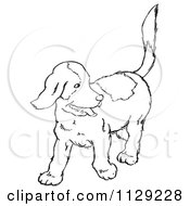 Poster, Art Print Of Outlined Happy Puppy Looking Back