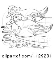 Poster, Art Print Of Outlined Wood Duck Pair Swimming
