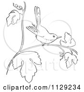 Poster, Art Print Of Outlined Wren On A Branch