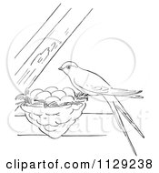 Poster, Art Print Of Outlined Swallow On Its Nest Between Beams