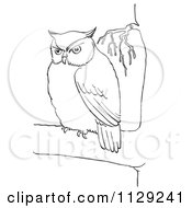 Poster, Art Print Of Outlined Chubby Owl In A Tree