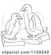 Poster, Art Print Of Outlined Cute Baby Penguins On Ice