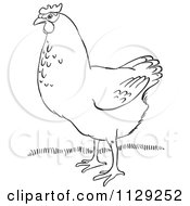 Cartoon Clipart Of An Outlined Hen On Grass Black And White Vector Coloring Page