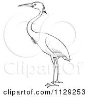 Poster, Art Print Of Outlined Heron Bird