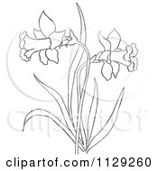 Outlined Dandelion Flower Plant