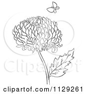 Poster, Art Print Of Outlined Chrysanthemum Flower And Butterfly