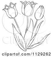 Cartoon Clipart Of An Outlined Tulip Flower Plant Black And White Vector Coloring Page by Picsburg #COLLC1129262-0181