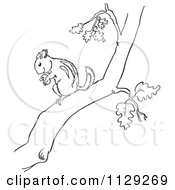 Poster, Art Print Of Outlined Chipmunk With A Nut In A Tree