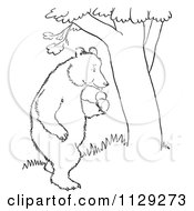 Outlined Standing Bear With Apples By A Tree