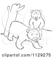 Poster, Art Print Of Outlined Playful Bear Cubs By A Tree Trunk