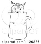 Poster, Art Print Of Outlined Curious Kitten In A Water Pitcher