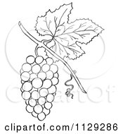 Outlined Bunch Of Grapes With A Leaf