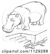 Poster, Art Print Of Outlined Zoo Hippo On A Pool Platform With Stairs