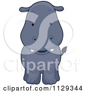 Poster, Art Print Of Cute Hippo