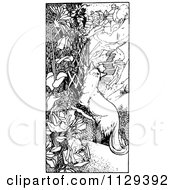 Poster, Art Print Of Retro Vintage Black And White Fox Looking Through A Trellis