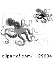 Clipart Of Black And White And Gray Octopuses Royalty Free Vector Illustration