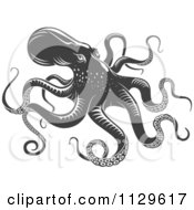 Clipart Of A Grayscale Octopus Royalty Free Vector Illustration