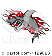 Poster, Art Print Of Aggressive Shark Over Red Flames