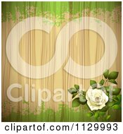 Poster, Art Print Of White Rose Flower Wood And Green Grunge Background