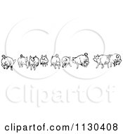 Poster, Art Print Of Retro Vintage Black And White Rear View Of Running Pigs