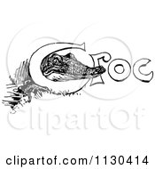 Poster, Art Print Of Retro Vintage Black And White Crocodile Peeking Through Croc