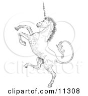 Profile Of A Unicorn Rearing Up On His Hind Legs Clipart Illustration by AtStockIllustration