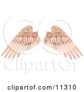 Flesh Colored Angel Wings Clipart Picture
