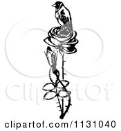 Clipart Of A Retro Vintage Black And White Bird Perched On A Rose Royalty Free Vector Illustration