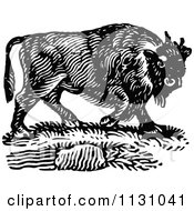 Clipart Of A Retro Vintage Black And White Wild Bison Royalty Free Vector Illustration