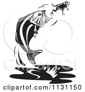 Clipart Of A Retro Black And White Jumping Largemouth Bass Fish Trying To Eat A Frog Royalty Free Vector Illustration by patrimonio