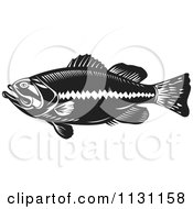 Retro Black And White Largemouth Bass Fish In Profile