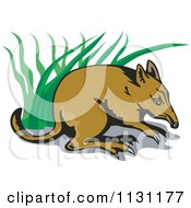 Clipart Of A Bandicoot In Grass Royalty Free Vector Illustration