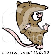 Poster, Art Print Of Brown Rat