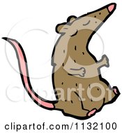 Poster, Art Print Of Brown Rat