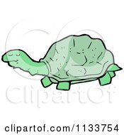 Poster, Art Print Of Green Tortoise