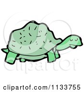 Poster, Art Print Of Green Tortoise